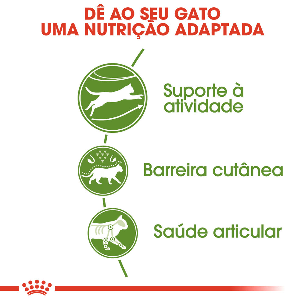 Royal Canin Outdoor Gato Aves de capoeira - Ração seca para gato
