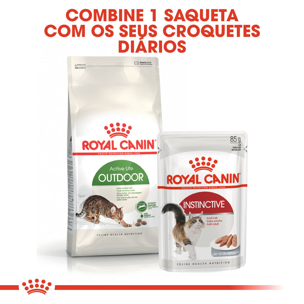 Royal Canin Outdoor Gato Aves de capoeira - Ração seca para gato
