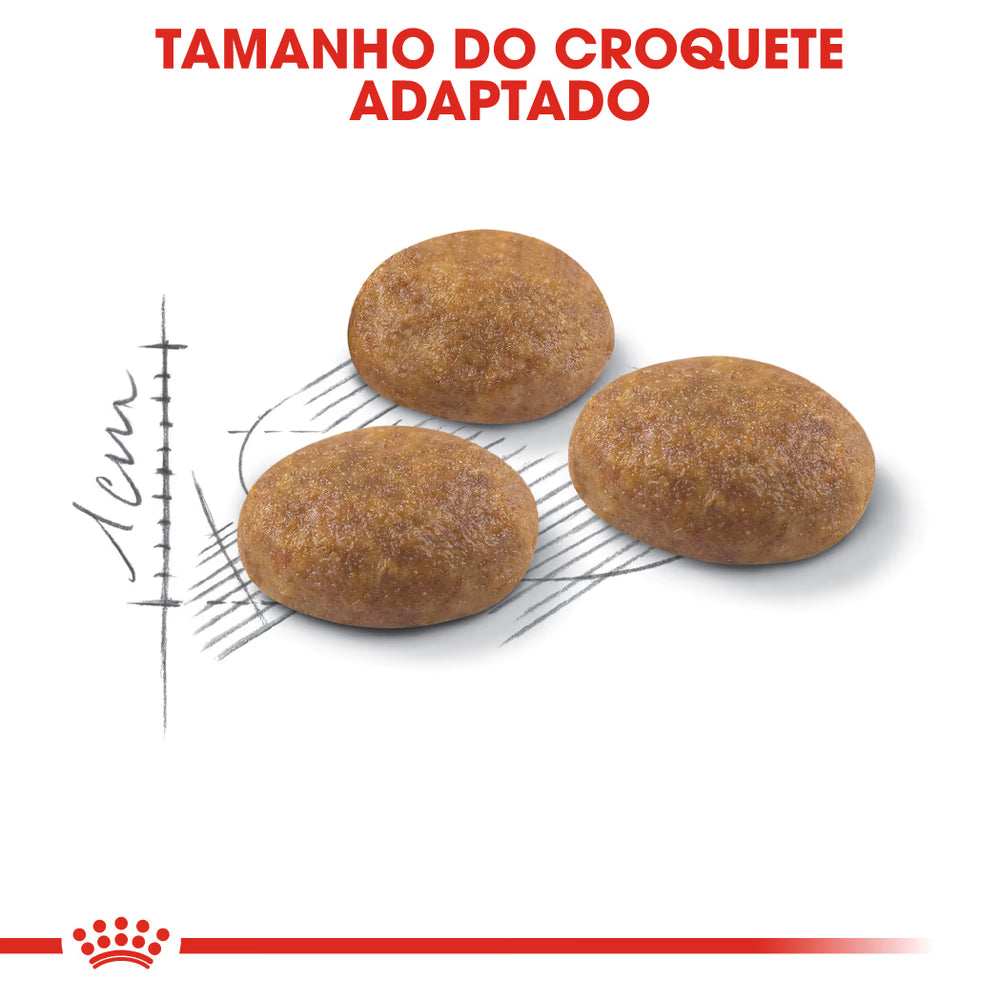 Royal Canin Outdoor Gato Aves de capoeira - Ração seca para gato