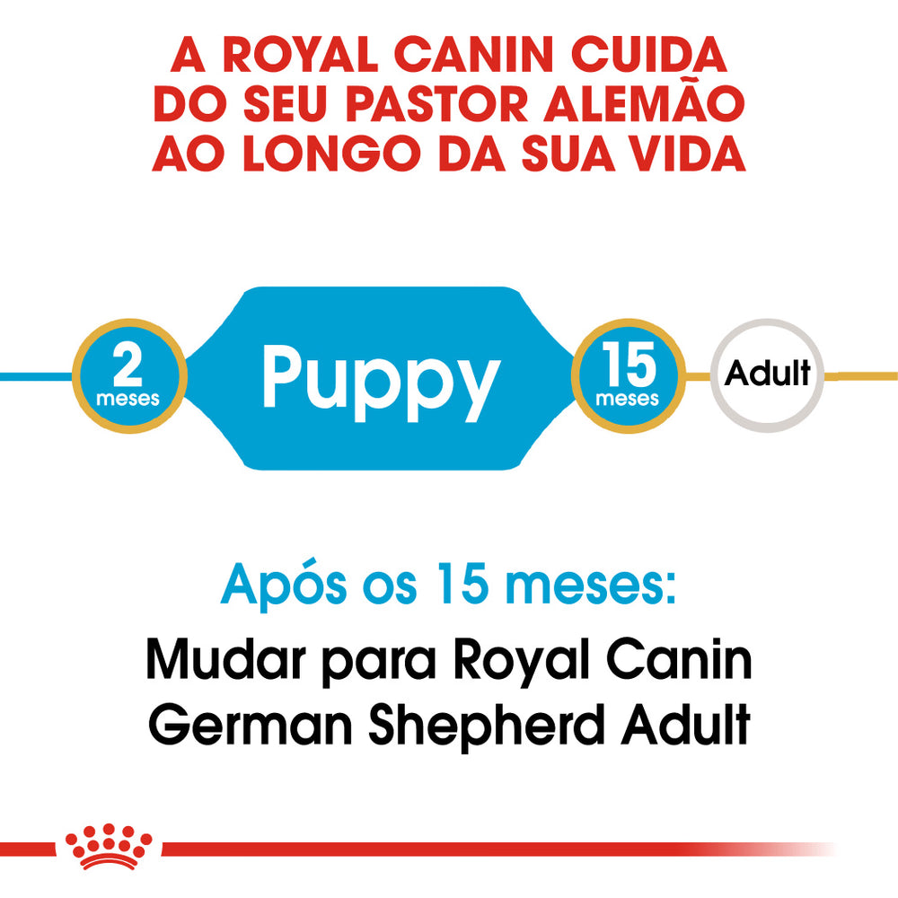 Royal Canin Pastor Alemão Cachorro Cão Aves de Capoeira - Ração seca para cão