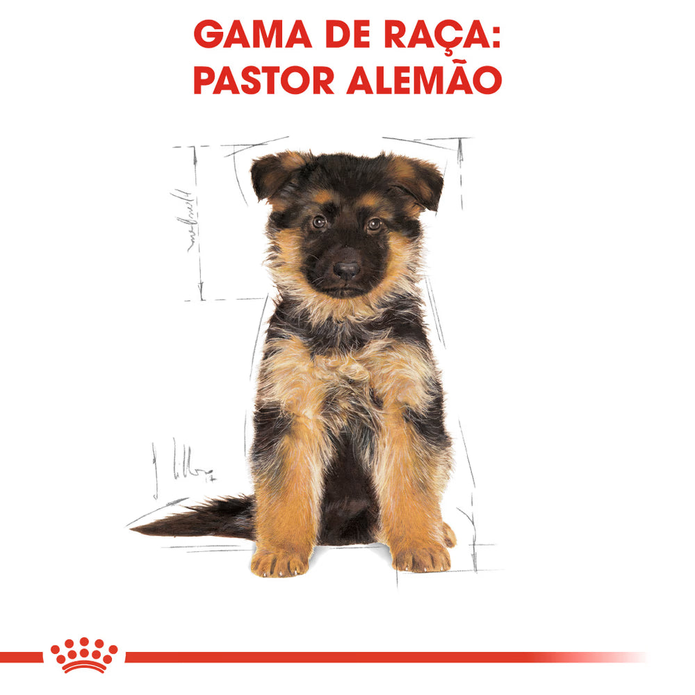 Royal Canin Pastor Alemão Cachorro Cão Aves de Capoeira - Ração seca para cão