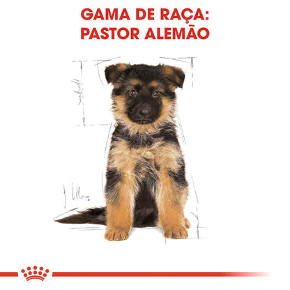 Royal Canin Pastor Alemão Cachorro Cão Aves de Capoeira - Ração seca para cão