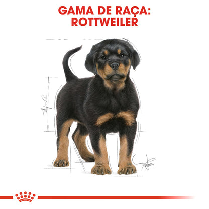 Royal Canin Rottweiler Cachorro Cão Aves de capoeira - Ração seca para cão