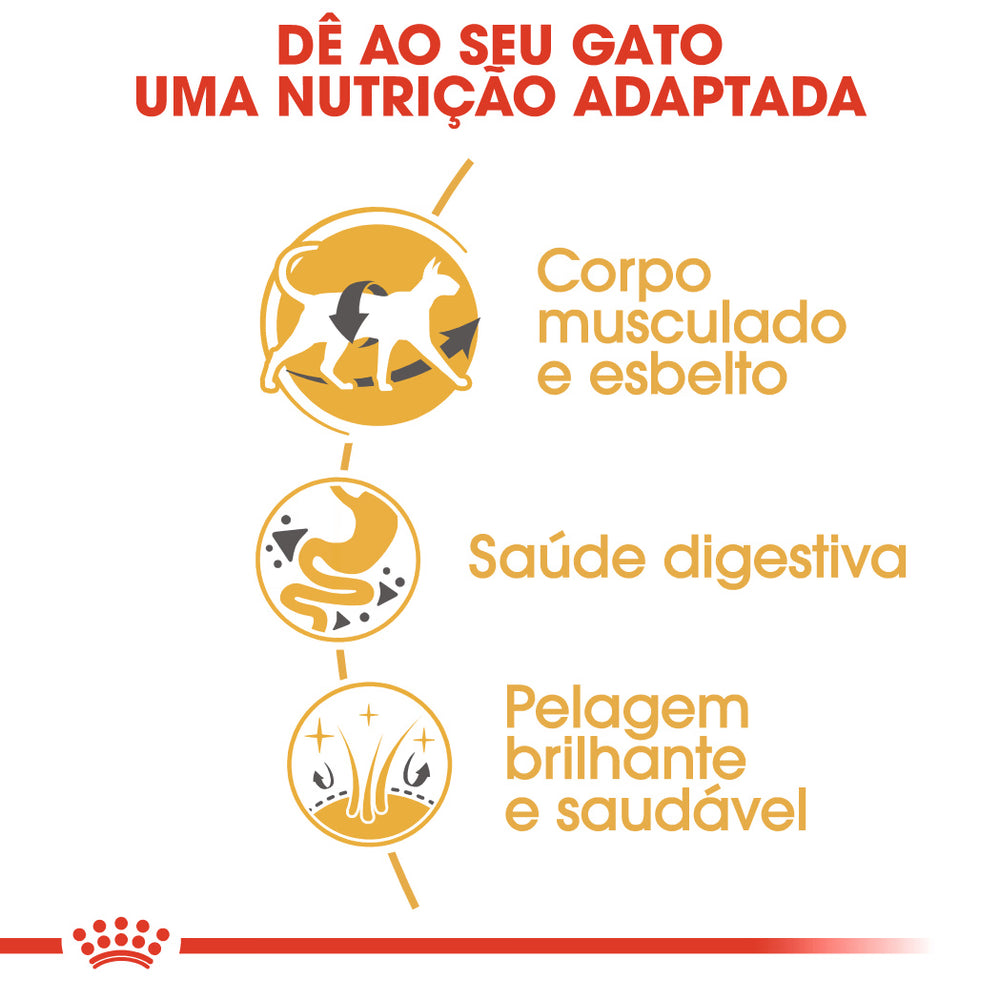 Royal Canin Siamese Adulto Gato Aves de Corral - Pienso seco para gato siamés