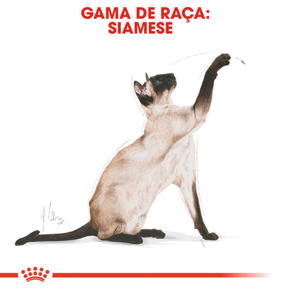 Royal Canin Siamese Adulto Gato Aves de Corral - Pienso seco para gato siamés