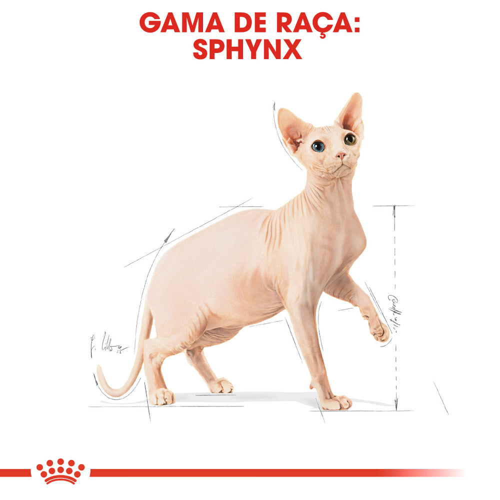 Royal Canin Sphynx Cat - Dry food for cats with poultry