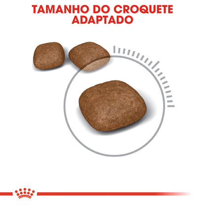 Royal Canin Urinary Care Gato Aves - Ração seca para gato para saúde urinária