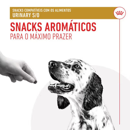Royal Canin VET Treats Urinary Cão Adulto Aves - Snack para cão com problemas urinários