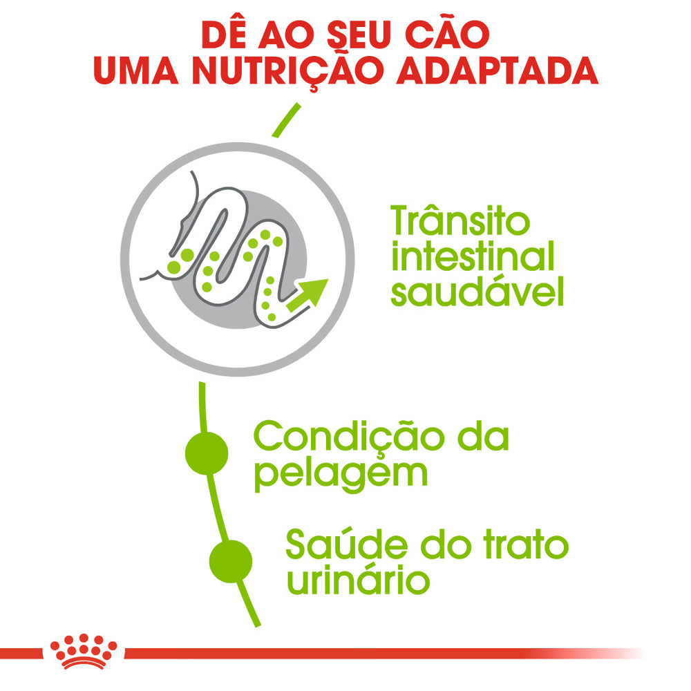 Royal Canin X-Small Adulto Cão Aves - Ração seca para cão