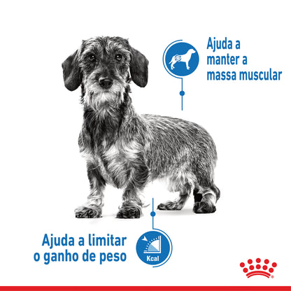 Royal Canin X-Small Light Weight Care Perro Aves - Pienso seco para perro para control de peso