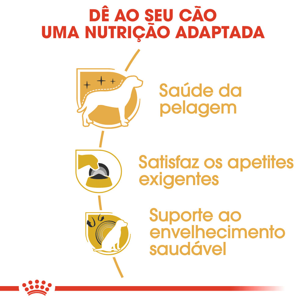 Royal Canin Yorkshire Terrier Adulto Cão Aves - Ração seca para cão