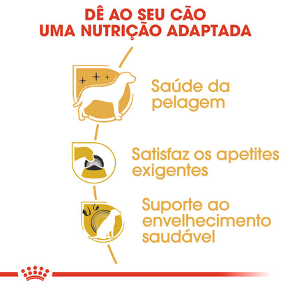 Royal Canin Yorkshire Terrier Adulto Cão Aves - Ração seca para cão