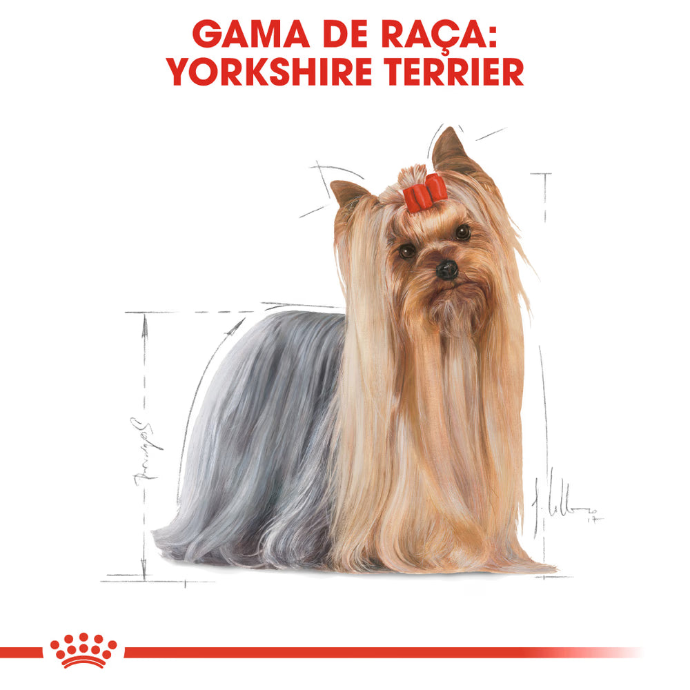 Royal Canin Yorkshire Terrier Adulto Cão Aves - Ração seca para cão