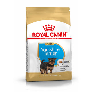Royal Canin Yorkshire Terrier Cachorro Cão Aves - Ração seca para cão
