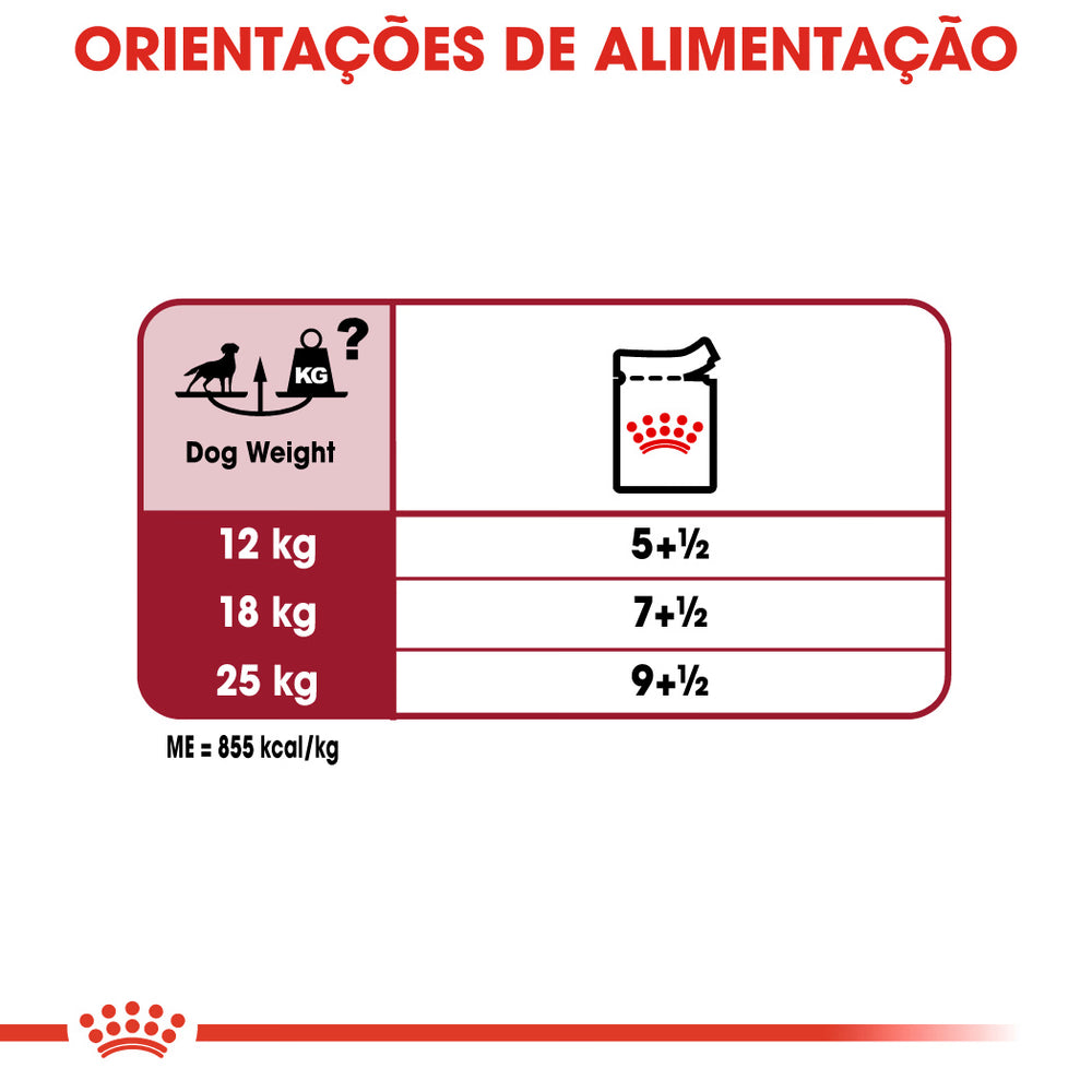 Royal Canin Adulto Médio Pouch Caixa