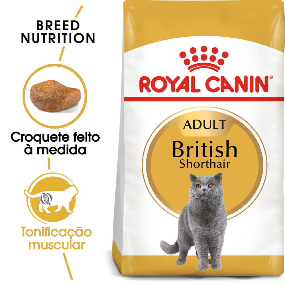 Royal Felino Adulto British Shorthair
