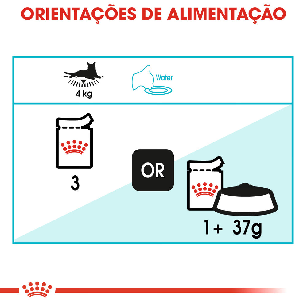 Royal Feline Adulto Urinário Care Pouch Caixa