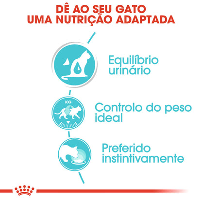 Royal Feline Adulto Urinário Care Pouch Caixa