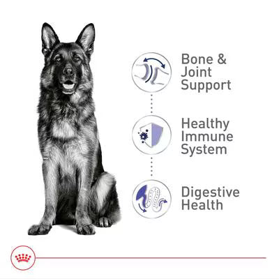 Royal Canin Dog Maxi Adult Dog Food - Bonus | 15 kg + 3 kg Free