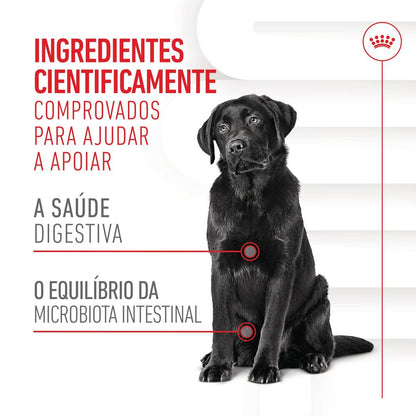 Biscoitos para cão Royal Canin Dog Digestion Chews Adult Supplements | 160 g