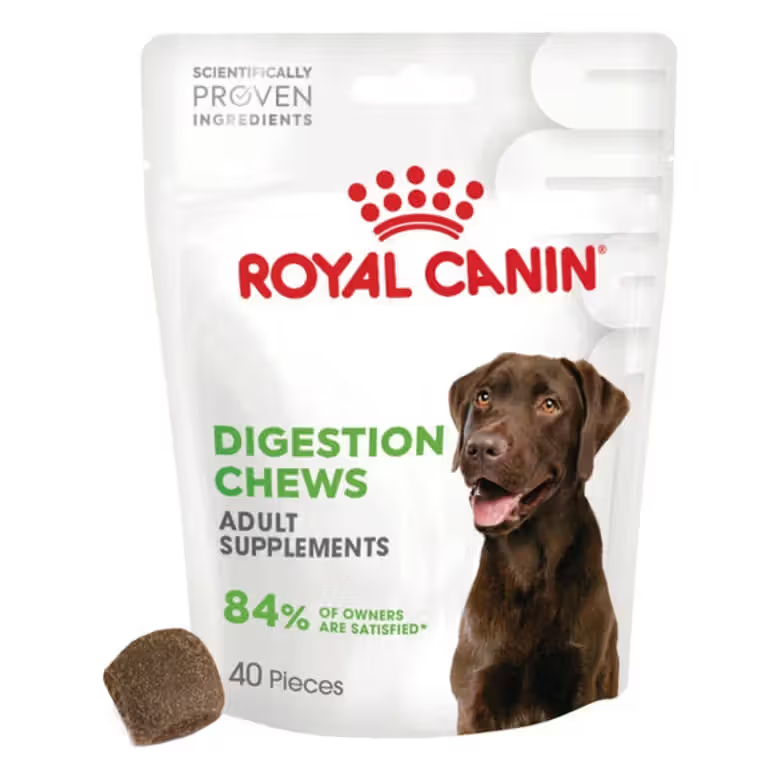 Royal Canin Dog Digestion Chews Adult Supplements