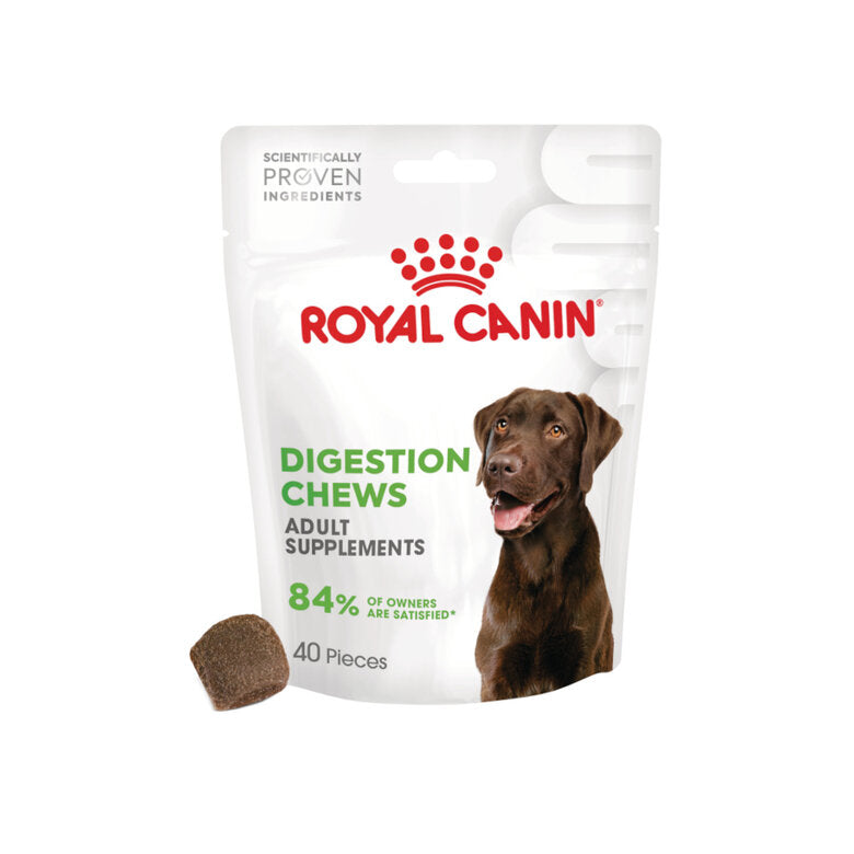 Biscoitos para cão Royal Canin Dog Digestion Chews Adult Supplements | 160 g