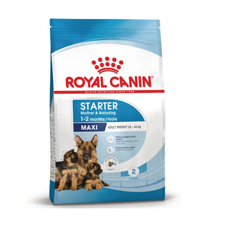 Royal Canin Maxi Starter Cão Aves - Ração seca para cão