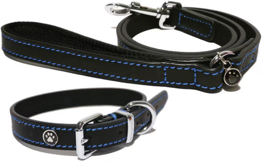 Rosewood Collar Black Leather - Dog collar