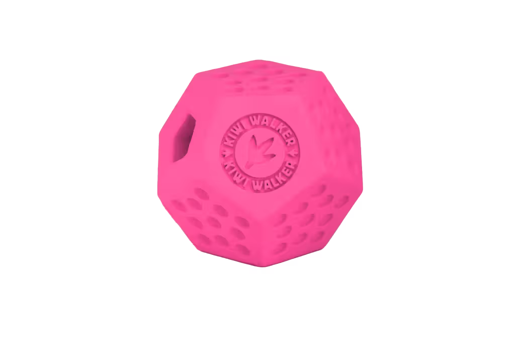 Kiwi Walker Dodecaball Maxi Pink - Brinquedo para cão