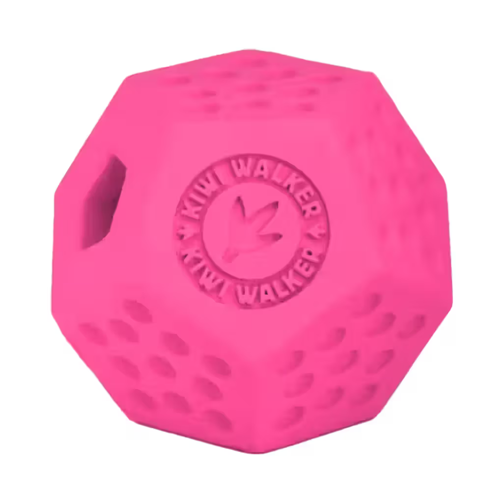 Kiwi Walker Dodecaball Maxi Pink - Juguete para perro