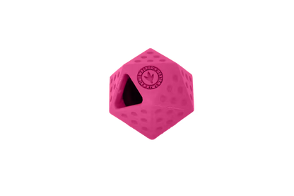 Kiwi Walker Icosaball Mini Pink - Juguete para perro
