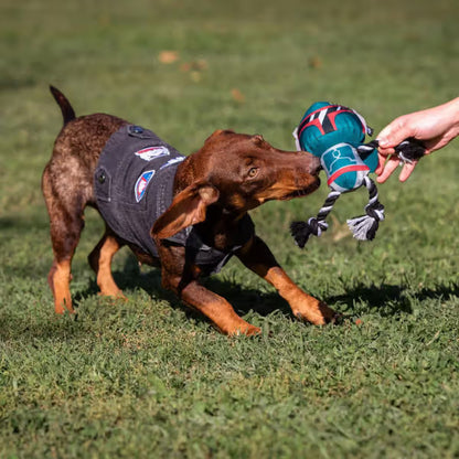 Disney & Warner Bros Star Wars Casaco de Ganga Cão - Ração seca para cão