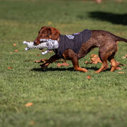 Disney & Warner Bros Star Wars Casaco de Ganga Cão - Ração seca para cão