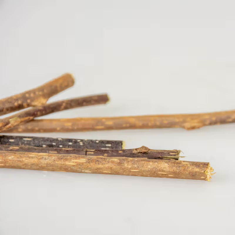 Duvo Plus Snack Gato Actinidia Polygama - Snack para gato
