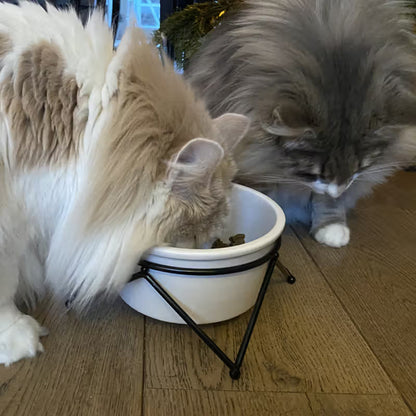 Duvo Plus Stone Up Zigzag - Taça em cerâmica para cão e gato
