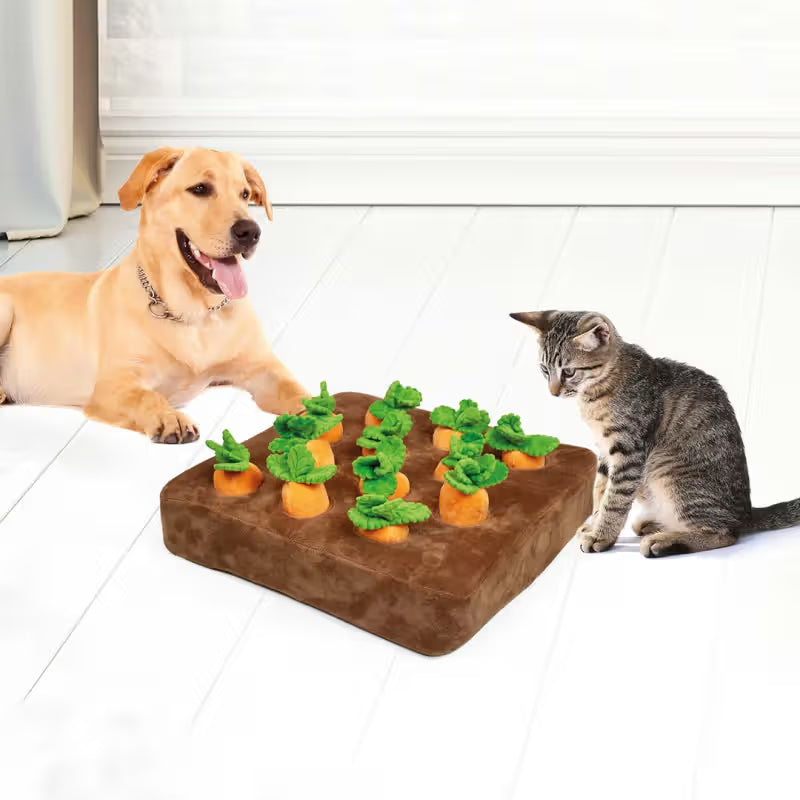 Duvo Plus Tapete de Farejar Carrot Garden - Alfombra olfativa para perro