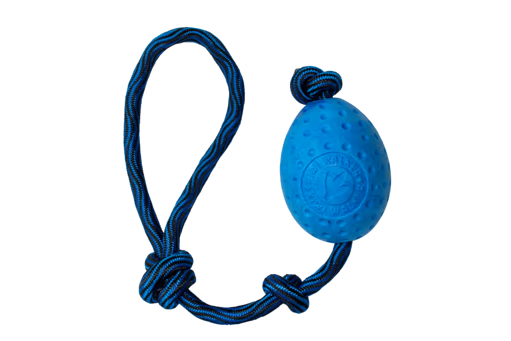 Kiwi Walker EGG Maxi Blue - Juguete para perro