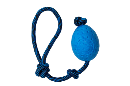 Kiwi Walker EGG Maxi Blue - Juguete para perro