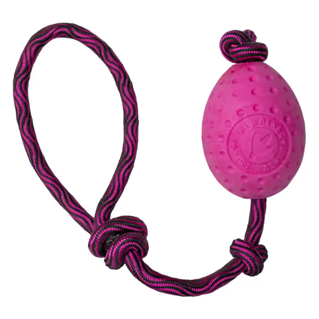Kiwi Walker EGG Maxi Pink - Dog toy