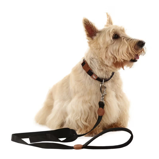 TOH Comfort - Dog lead