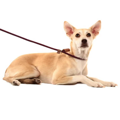 TOH Trela em Corda com Laço Ajustável Bordeaux - Trela para cão