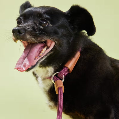 TOH Trela em Corda com Laço Ajustável Bordeaux - Trela para cão