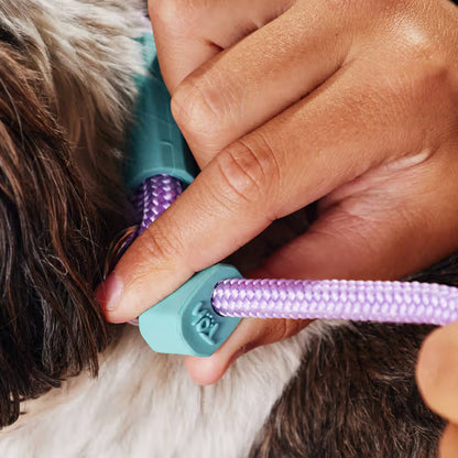 TOH Trela em Corda com Laço Ajustável Lilás para Cão - Dog lead