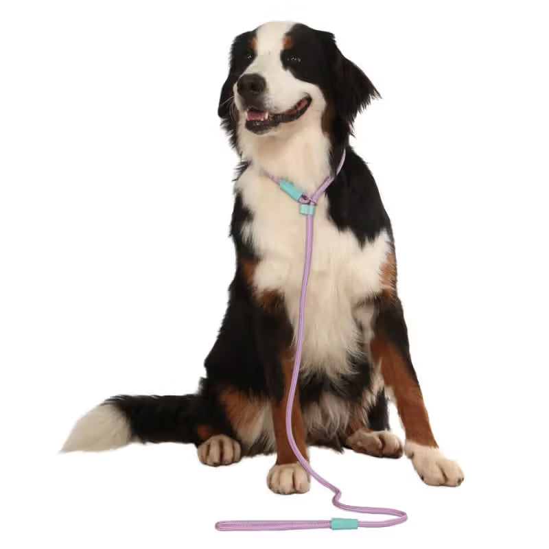 TOH Trela em Corda com Laço Ajustável Lilás para Cão - Dog lead