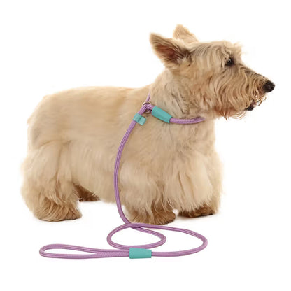 TOH Trela em Corda com Laço Ajustável Lilás para Cão - Dog lead