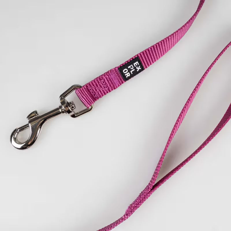 Duvo Plus Explor Classic Rosa - Correa para perro