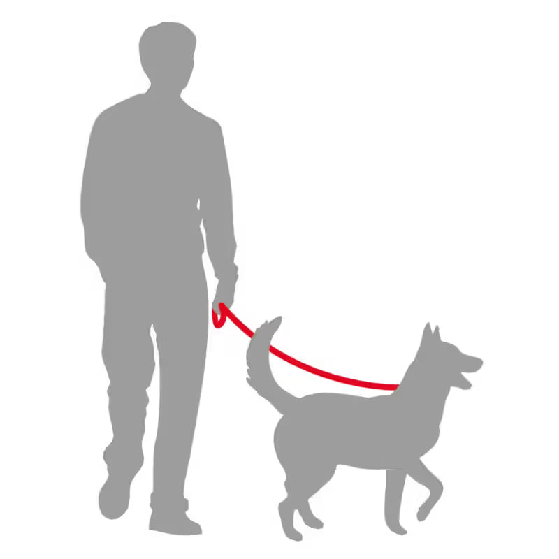 Duvo Plus Explor Classic Vermelho - Dog lead