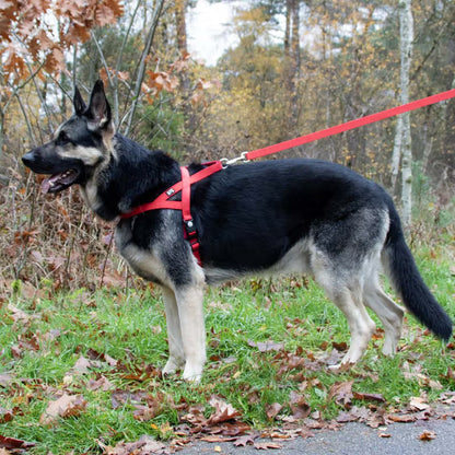 Duvo Plus Explor Classic Vermelho - Dog lead