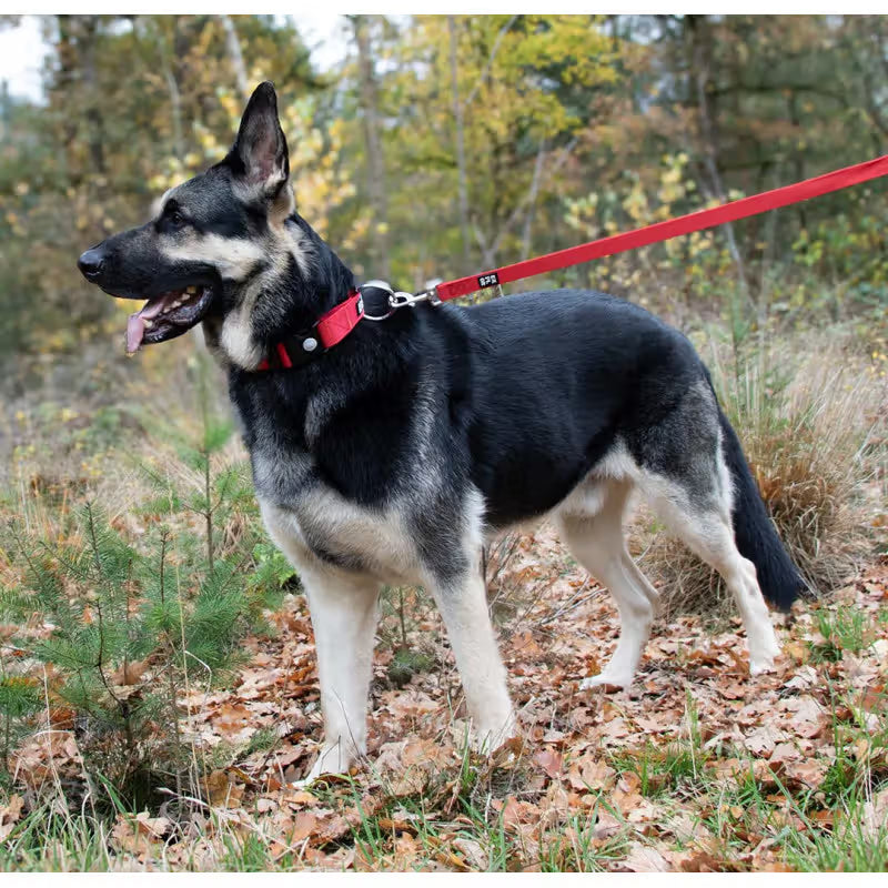 Duvo Plus Explor Classic Vermelho - Dog lead
