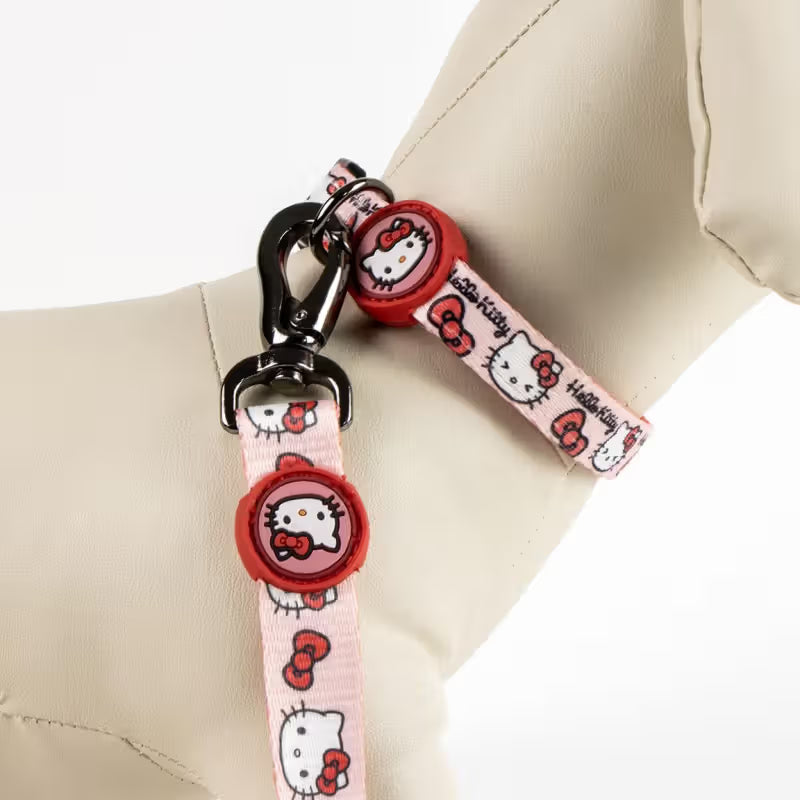 Disney & Warner Bros Hello Kitty